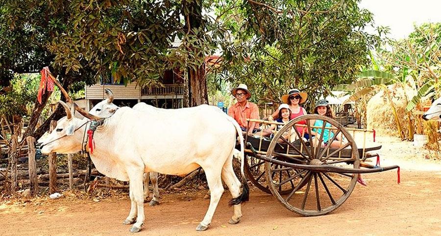 Unique Activities – Angkor Guide Team