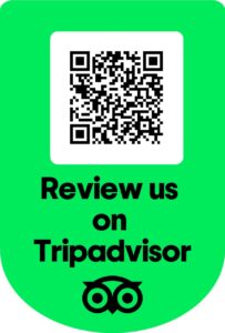 Scan for review